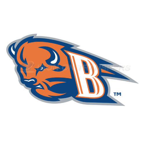 Bucknell Bison Iron-on Stickers (Heat Transfers)NO.4035
